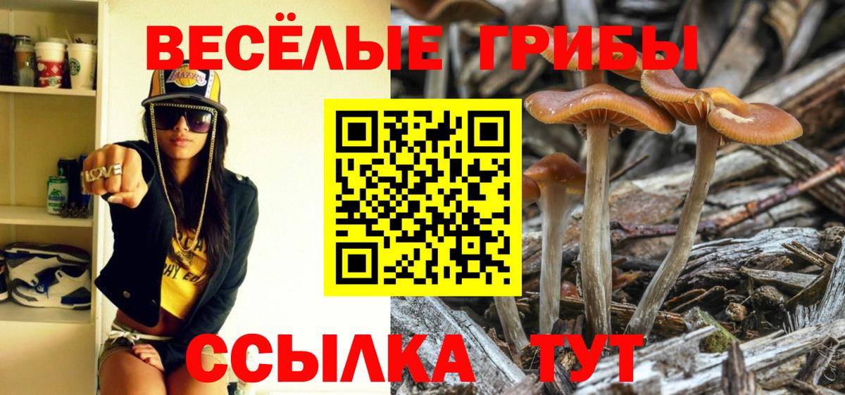 Рыбинск  Галлюциногенные грибы мицелий  Вход с VPN 