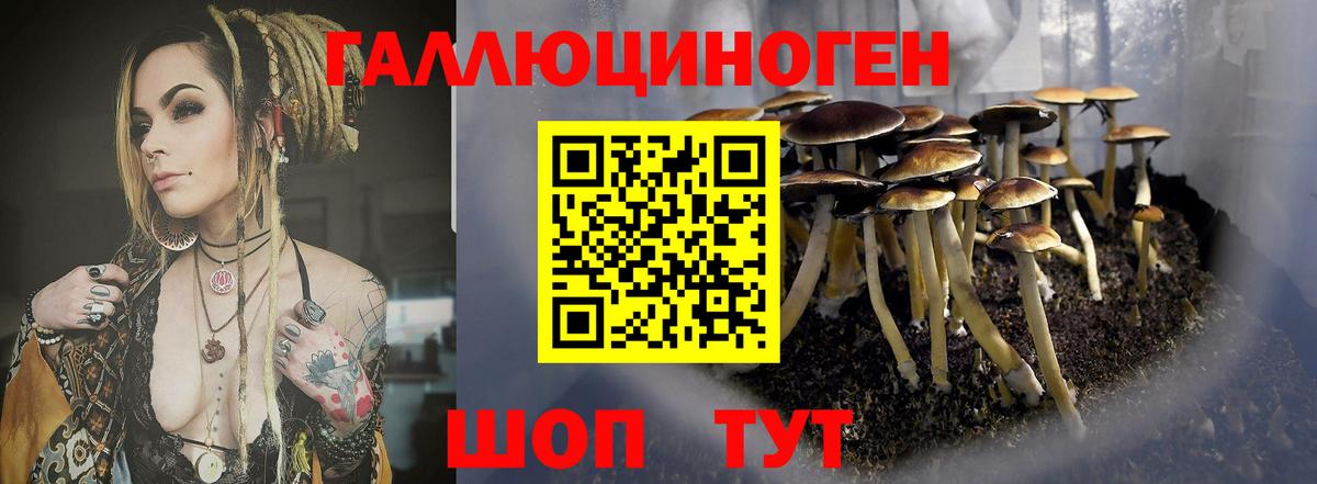 Псилоцибиновые грибы Psilocybine cubensis Рыбинск